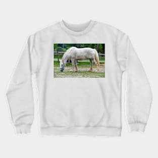 Draft Horse Crewneck Sweatshirt